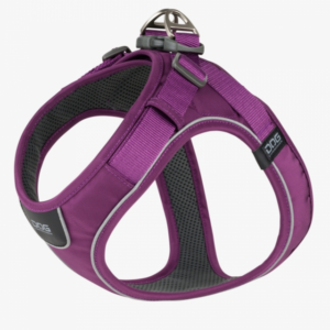 Dog C. Comfort Walk Go™ Harness Purple Passion S