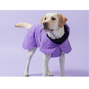 Paikka Visibility Winter Jacket Lilac 45